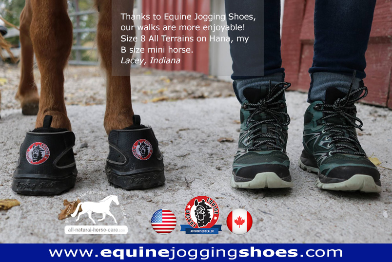 Equine Jogging Shoes » Mini Horse Road 
