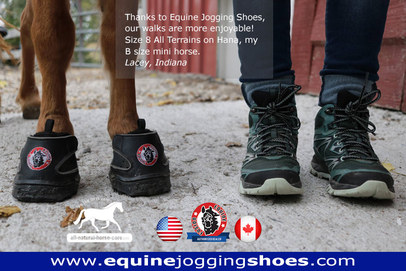 miniature horse hoof boots