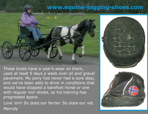 Equine Jogging Shoes » Mini Horse Road 