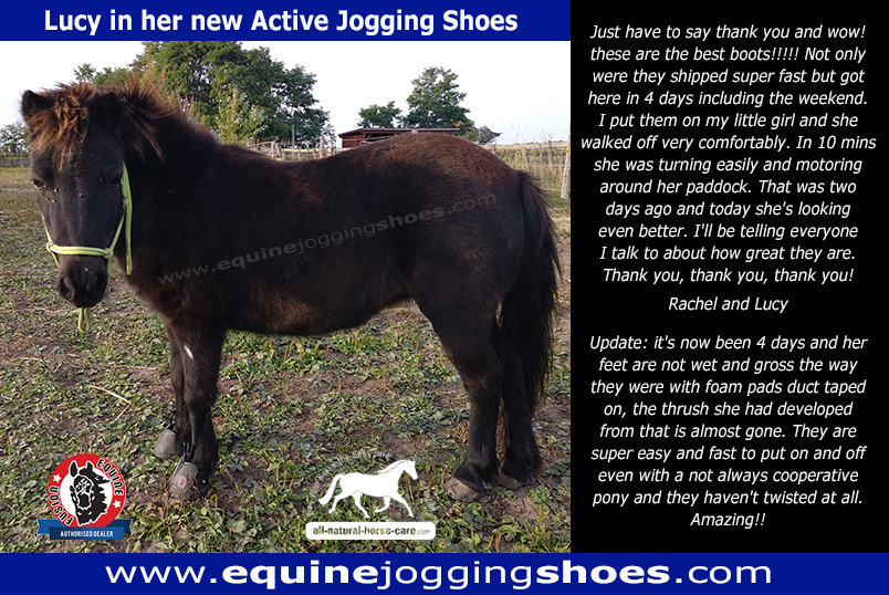 Lucy in the Active Jogging Shoes