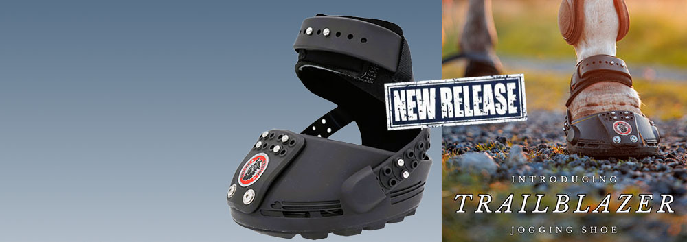 Trailblazer Jogging Shoe